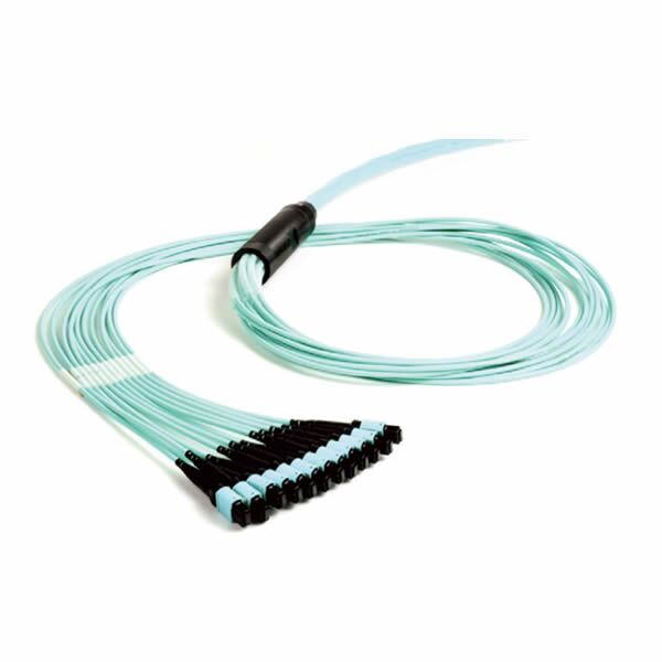 Base-8 Fibre Plug and Play